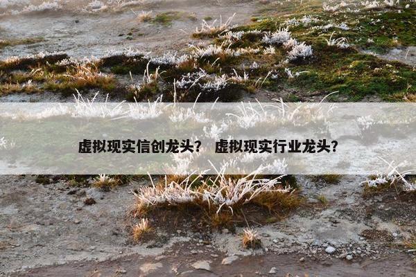 虚拟现实信创龙头？ 虚拟现实行业龙头？