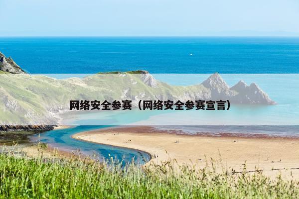 网络安全参赛（网络安全参赛宣言）