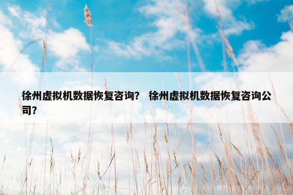 徐州虚拟机数据恢复咨询？ 徐州虚拟机数据恢复咨询公司？