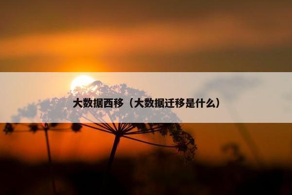 大数据西移（大数据迁移是什么）