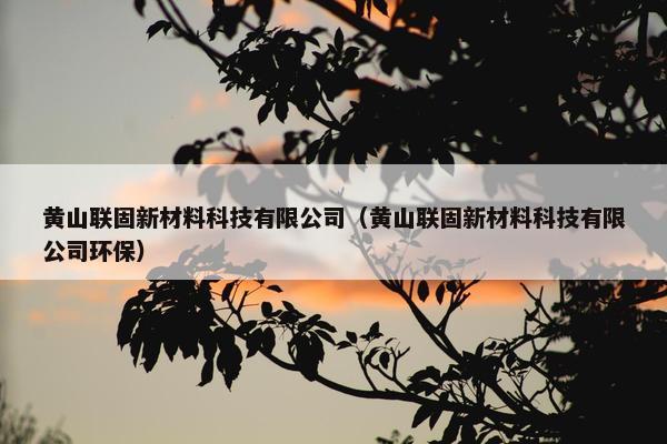 黄山联固新材料科技有限公司（黄山联固新材料科技有限公司环保）