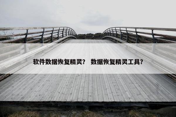 软件数据恢复精灵？ 数据恢复精灵工具？