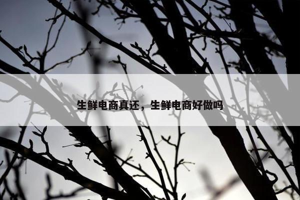 生鲜电商真还，生鲜电商好做吗