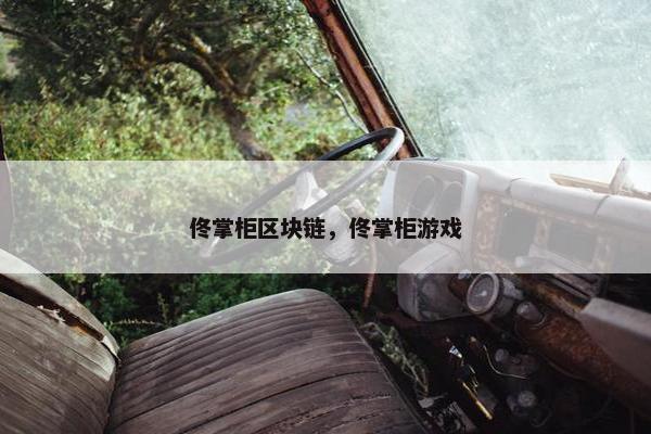 佟掌柜区块链，佟掌柜游戏