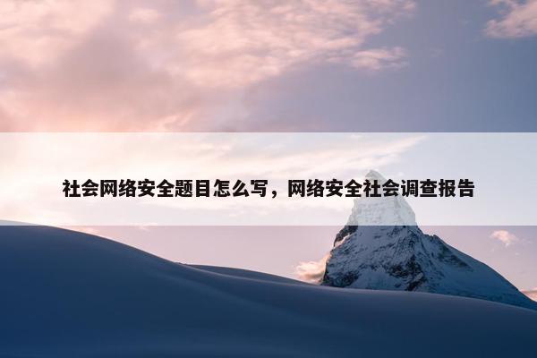 社会网络安全题目怎么写，网络安全社会调查报告