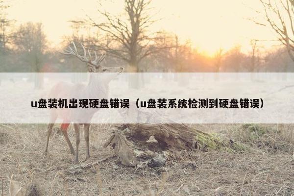 u盘装机出现硬盘错误（u盘装系统检测到硬盘错误）