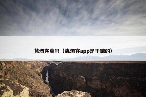 慧淘客真吗（惠淘客app是干嘛的）