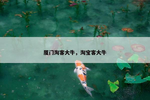 厦门淘客大牛，淘宝客大牛