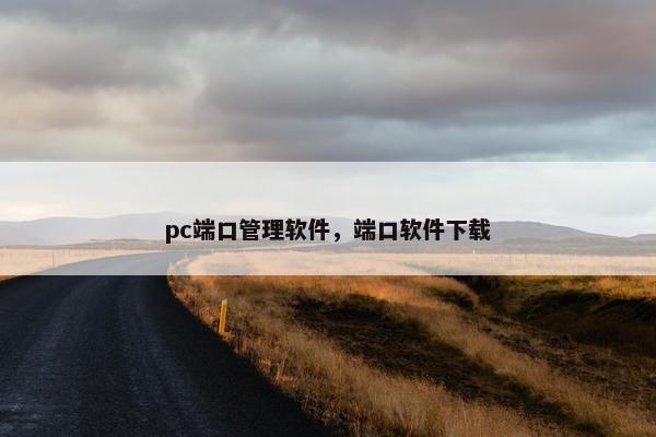 pc端口管理软件，端口软件下载