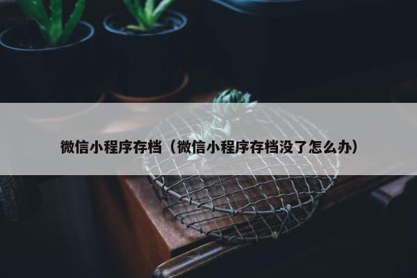微信小程序存档（微信小程序存档没了怎么办）