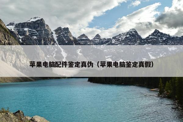 苹果电脑配件鉴定真伪（苹果电脑鉴定真假）