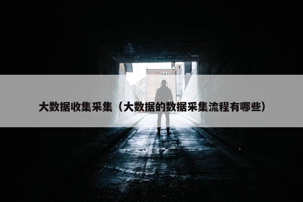 大数据收集采集（大数据的数据采集流程有哪些）