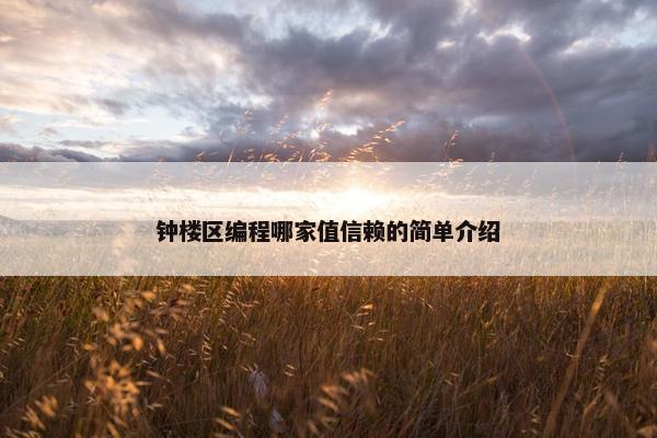 钟楼区编程哪家值信赖的简单介绍