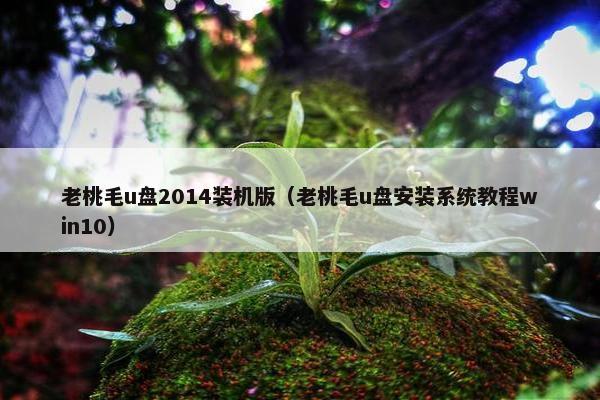 老桃毛u盘2014装机版（老桃毛u盘安装系统教程win10）