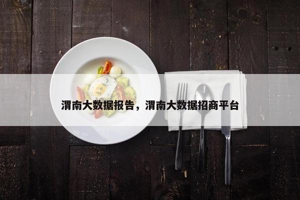 渭南大数据报告，渭南大数据招商平台
