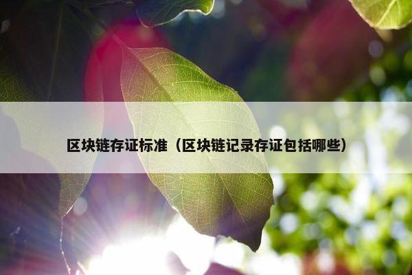 区块链存证标准（区块链记录存证包括哪些）