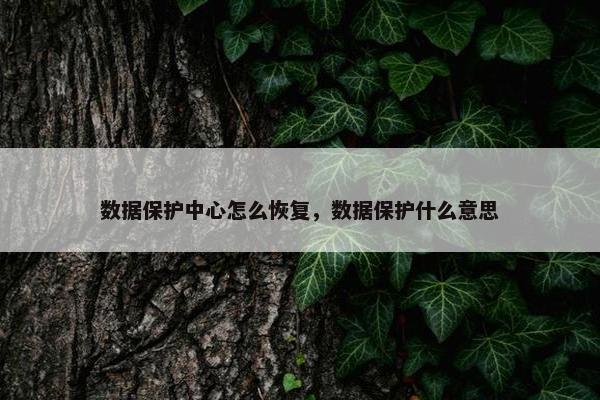 数据保护中心怎么恢复，数据保护什么意思