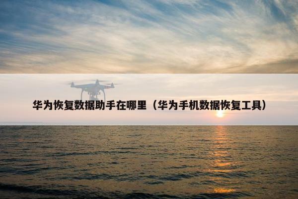 华为恢复数据助手在哪里（华为手机数据恢复工具）