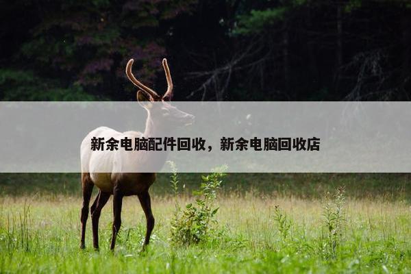新余电脑配件回收，新余电脑回收店