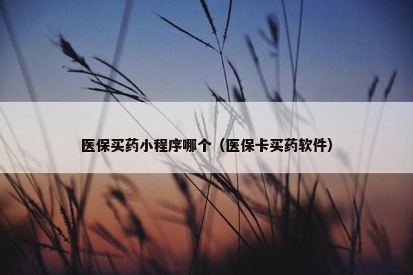医保买药小程序哪个（医保卡买药软件）