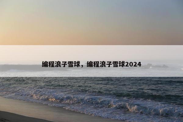 编程浪子雪球，编程浪子雪球2024