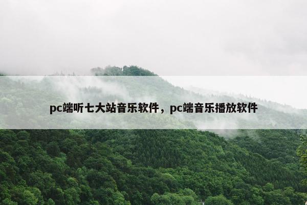 pc端听七大站音乐软件，pc端音乐播放软件