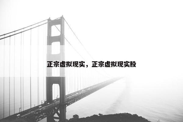 正宗虚拟现实，正宗虚拟现实股