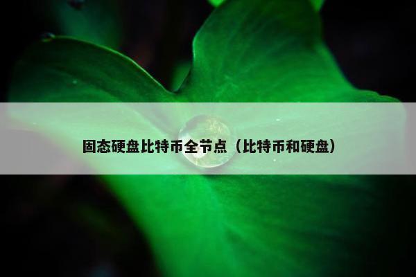 固态硬盘比特币全节点（比特币和硬盘）