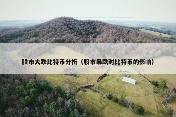 股市大跌比特币分析（股市暴跌对比特币的影响）