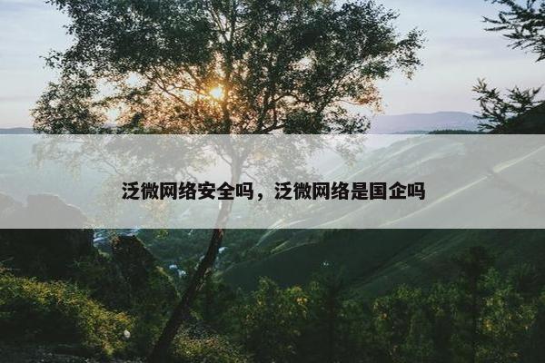 泛微网络安全吗，泛微网络是国企吗