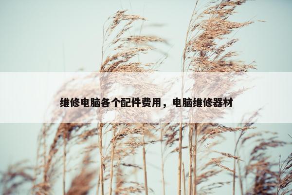 维修电脑各个配件费用，电脑维修器材