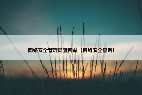 网络安全管理局查网站（网络安全查询）
