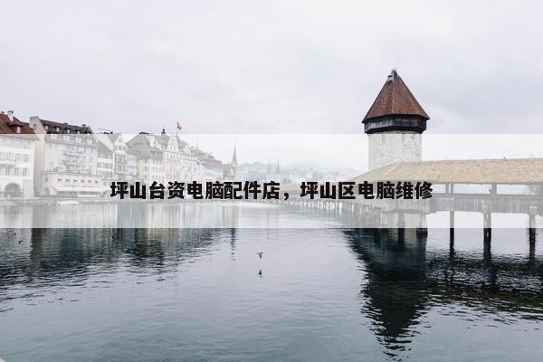 坪山台资电脑配件店，坪山区电脑维修