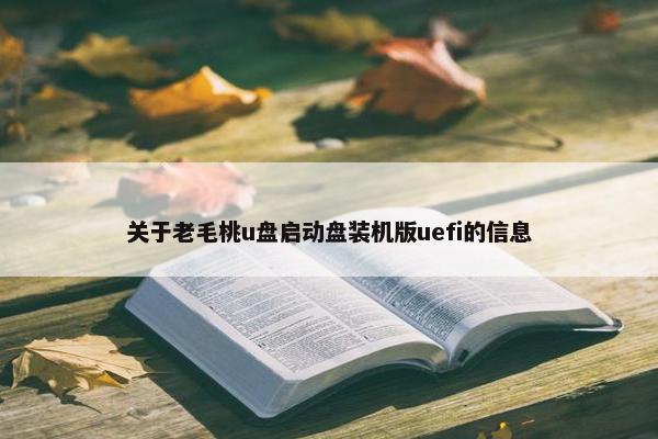 关于老毛桃u盘启动盘装机版uefi的信息