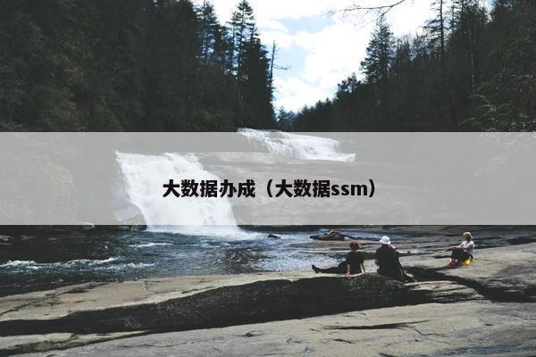 大数据办成（大数据ssm）