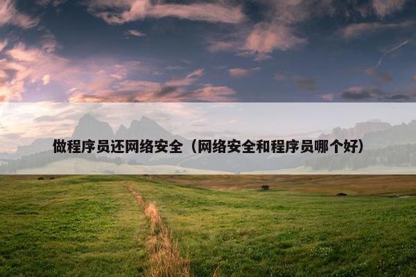 做程序员还网络安全（网络安全和程序员哪个好）