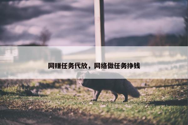 网赚任务代放，网络做任务挣钱
