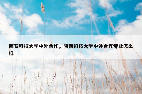 西安科技大学中外合作，陕西科技大学中外合作专业怎么样