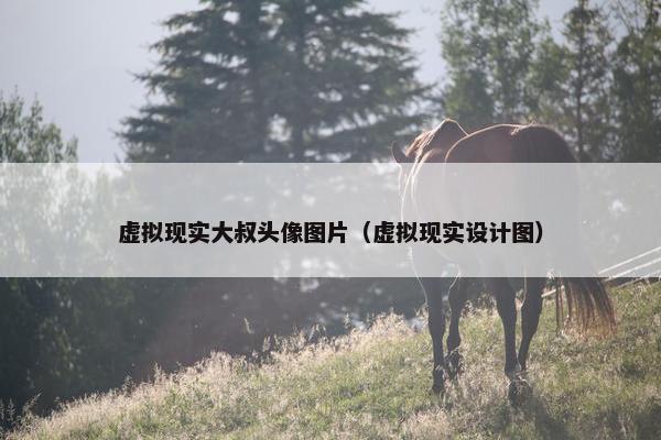 虚拟现实大叔头像图片（虚拟现实设计图）