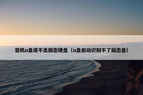 装机u盘读不出固态硬盘（u盘启动识别不了固态盘）