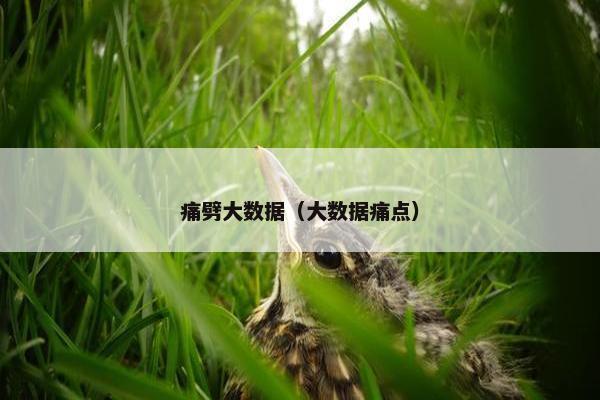 痛劈大数据（大数据痛点）
