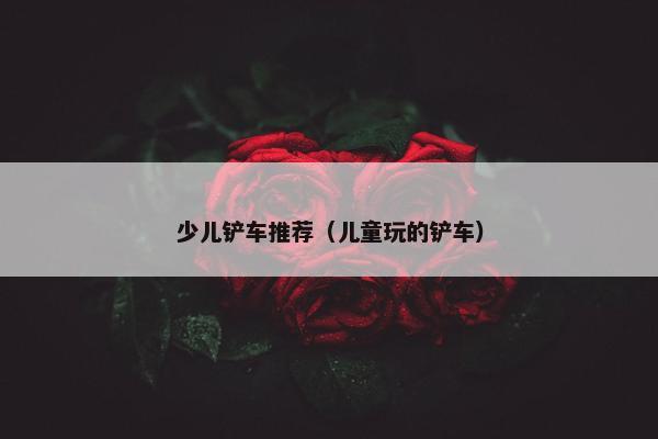 少儿铲车推荐（儿童玩的铲车）