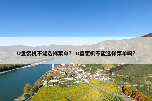U盘装机不能选择菜单？ u盘装机不能选择菜单吗？