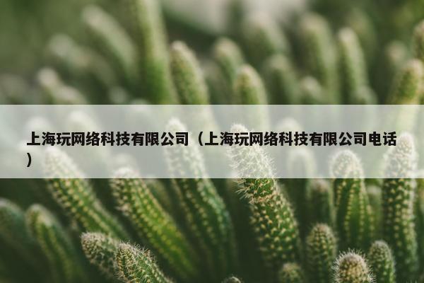 上海玩网络科技有限公司（上海玩网络科技有限公司电话）