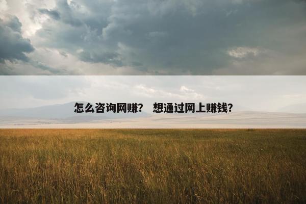 怎么咨询网赚？ 想通过网上赚钱？