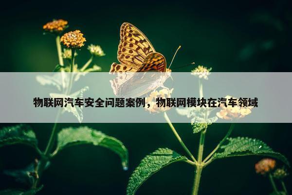 物联网汽车安全问题案例，物联网模块在汽车领域