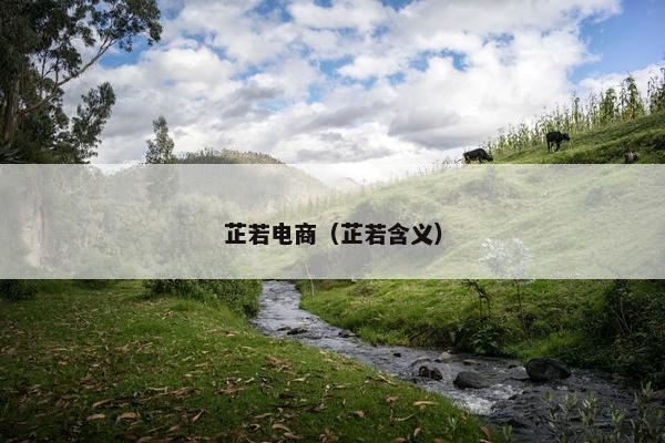 芷若电商（芷若含义）