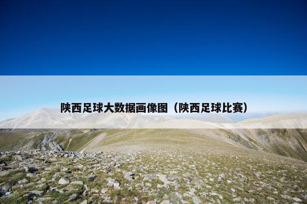 陕西足球大数据画像图（陕西足球比赛）