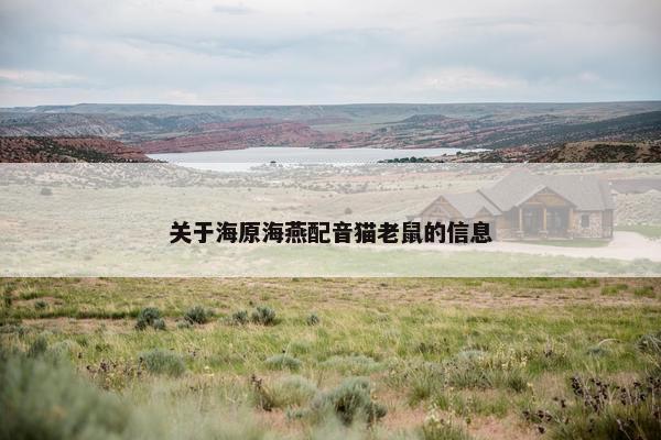 关于海原海燕配音猫老鼠的信息