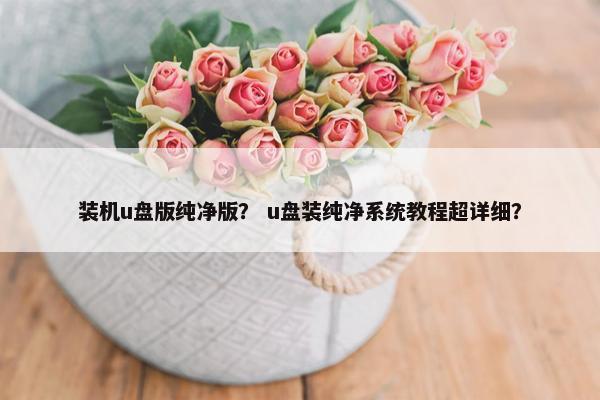 装机u盘版纯净版？ u盘装纯净系统教程超详细？
